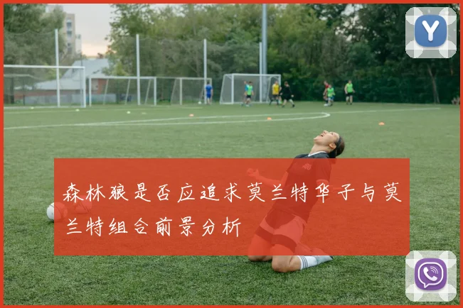 森林狼是否应追求莫兰特华子与莫兰特组合前景分析
